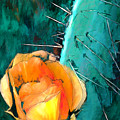 Pear Cactus